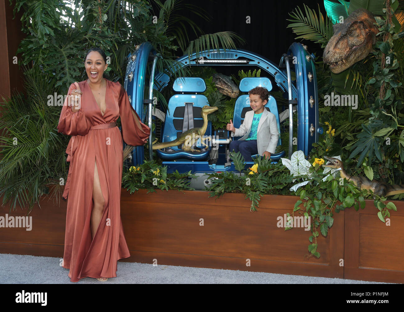 Los Angeles, Ca, USA. 12 Juni, 2018. Tamera Mowry-Housley, Aden Housley, an Jurassic Welt: Gefallene Königreich Premiere an der Walt Disney Concert Hall, Los Angeles Music Center in Los Angeles, Kalifornien am 12. Juni 2018. Credit: Faye Sadou/Medien Punch/Alamy leben Nachrichten Stockfoto