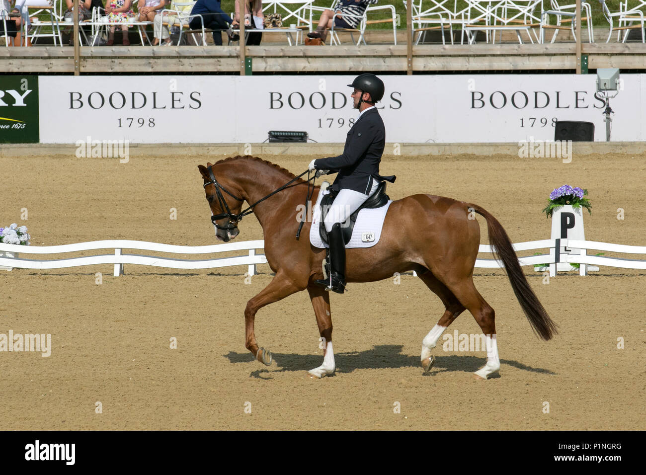 Bolesworth, Cheshire. 13.06.2018. Stuart Mason Reiten 1047 Hollywood an der Schildknappe Bolesworth International Horse Show. Kredit MediaWorldImages/AlamyLiveNews. Stockfoto