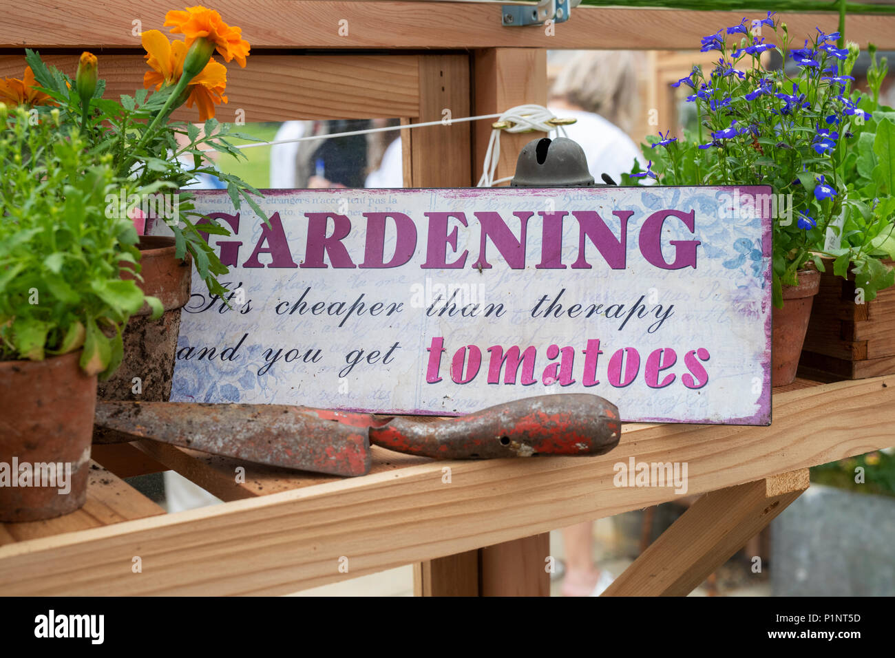 Gartenarbeit Zeichen in einem Gewächshaus unter den Blumen auf Anzeige an eine Blume zeigen. Großbritannien Stockfoto