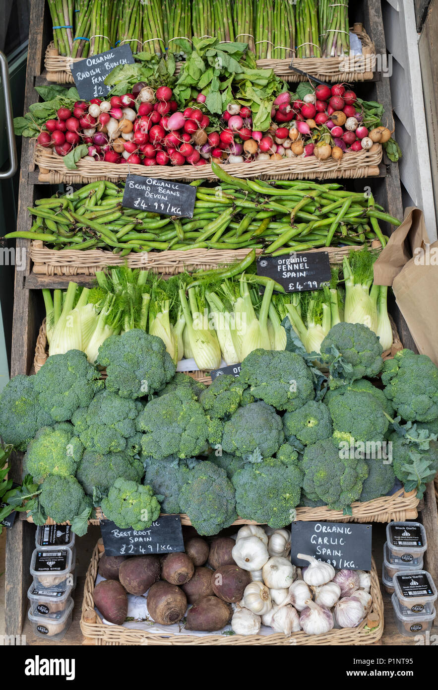 Bio-Gemüse zum Verkauf an Daylesford Organic farm Shop Sommerfest. Daylesford, Cotswolds, Gloucestershire, England Stockfoto