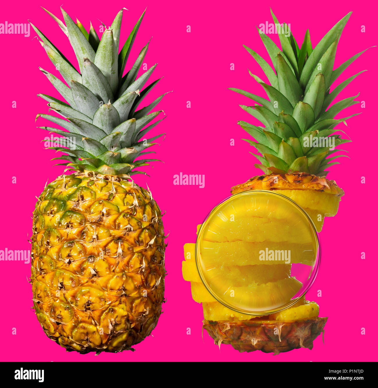 Ganze Ananas neben einem geschält, geschnitten und wieder zusammengebaut. Auf funky pink-magenta isoliert. Lupe Lupe Ringstruktur. Stockfoto