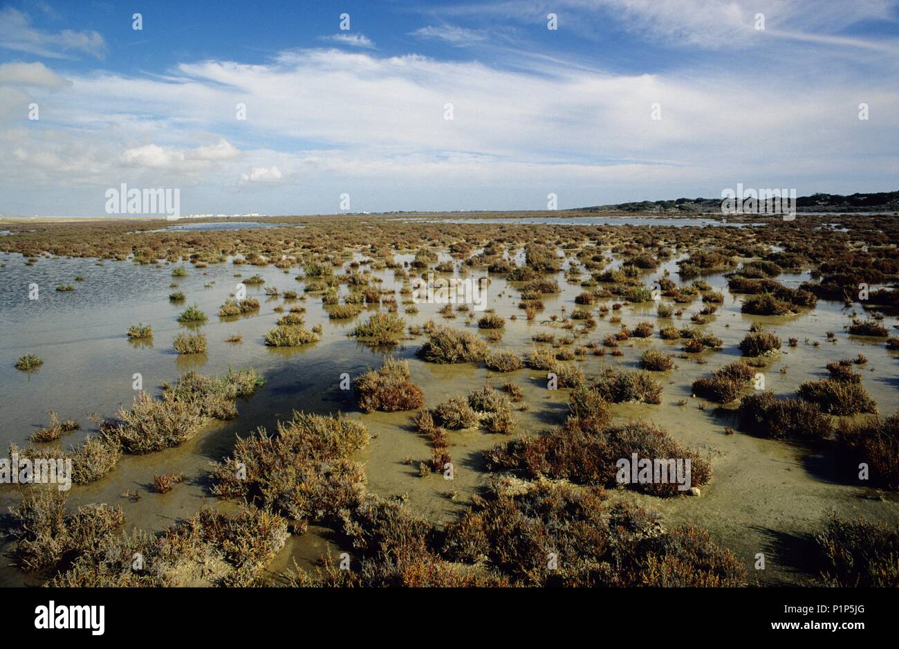 Punta Entinas, Moor in der Nähe von El Ejido. Stockfoto