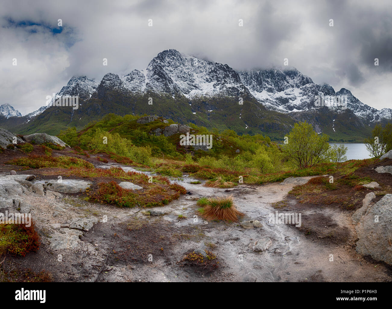 Juni Wetterbedingungen in den Lofoten Inseln, Norwegen Stockfoto