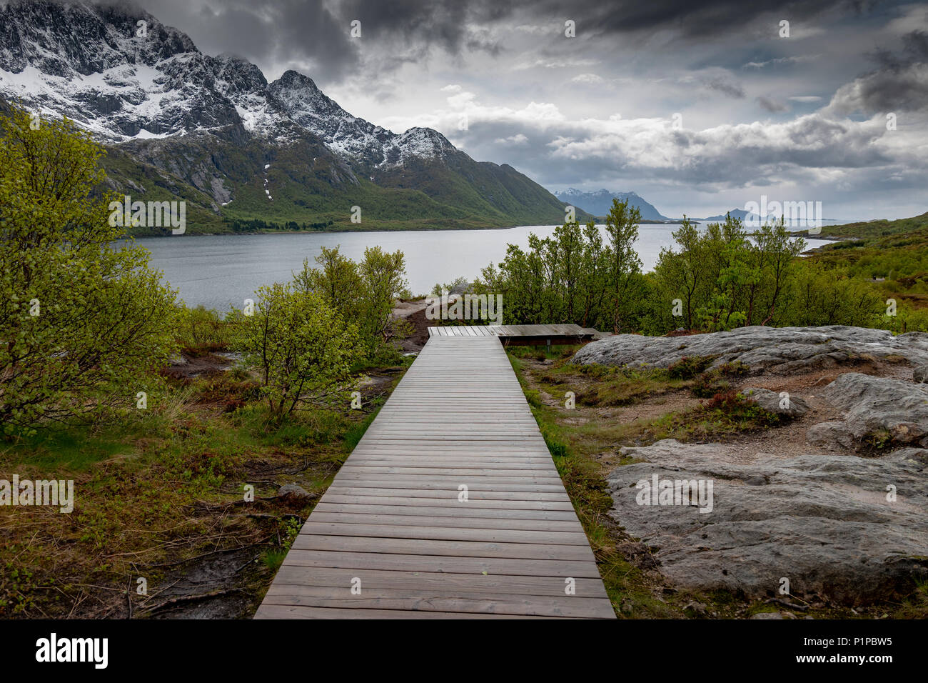 Holzterrasse die Landschaft bewahren, Lofoten, Norwegen Stockfoto