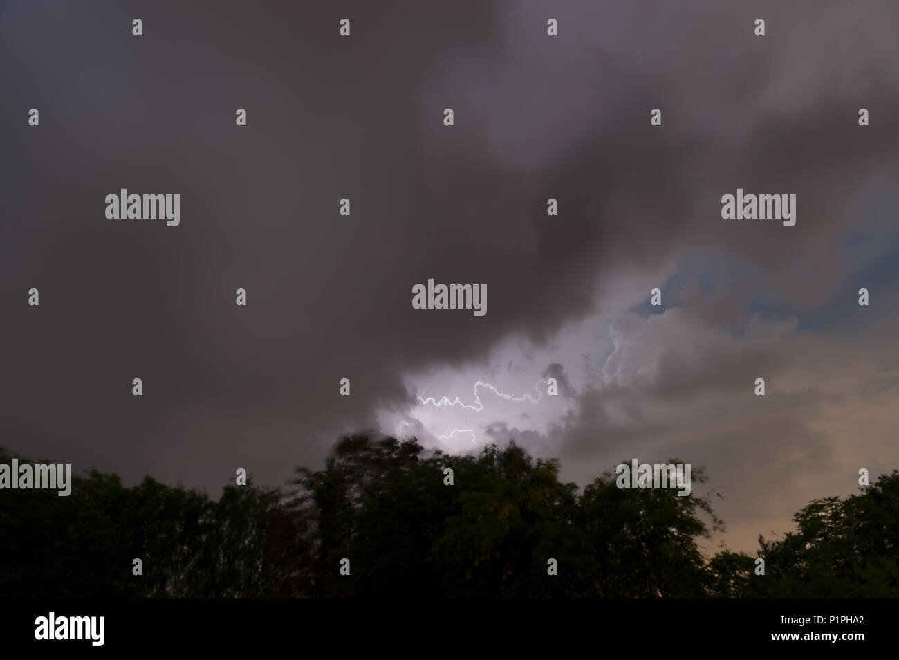 Blatt Blitz an bewölkten Himmel, hellt bis Mitternacht Wolken und blauen Nachthimmel vor dem Ansturm der thundery aggressive Heavy storming Rain Stockfoto