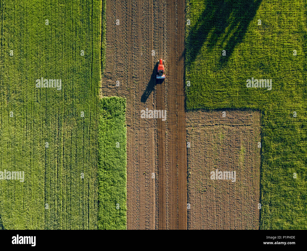 Luftbild von der Drohne, einen Blick aus der Vogelperspektive auf landwirtschaftlichen Feldern mit einer Straße durch und einem Traktor im Frühjahr Abend bei Sonnenuntergang im Sommer Stockfoto