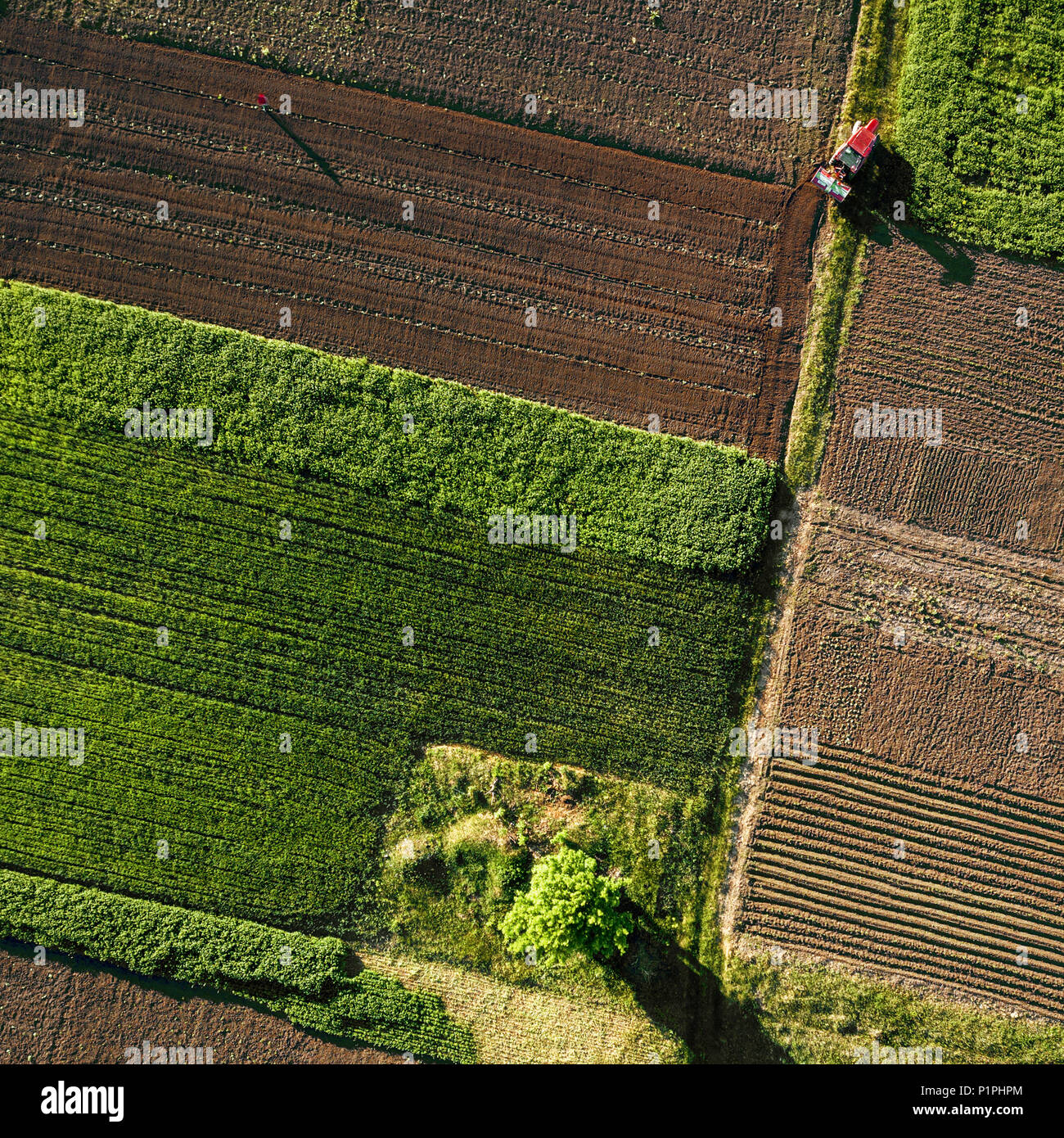 Luftbild von der Drohne, einen Blick aus der Vogelperspektive auf landwirtschaftlichen Feldern mit einer Straße durch und einem Traktor im Frühjahr Abend bei Sonnenuntergang Stockfoto