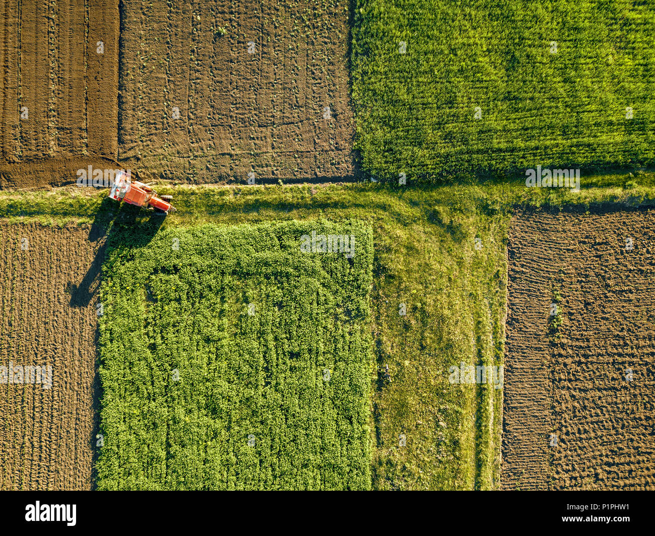 Luftbild von der Drohne, einen Blick aus der Vogelperspektive auf landwirtschaftlichen Feldern mit einer Straße durch und einem Traktor im Frühjahr Abend bei Sonnenuntergang Stockfoto