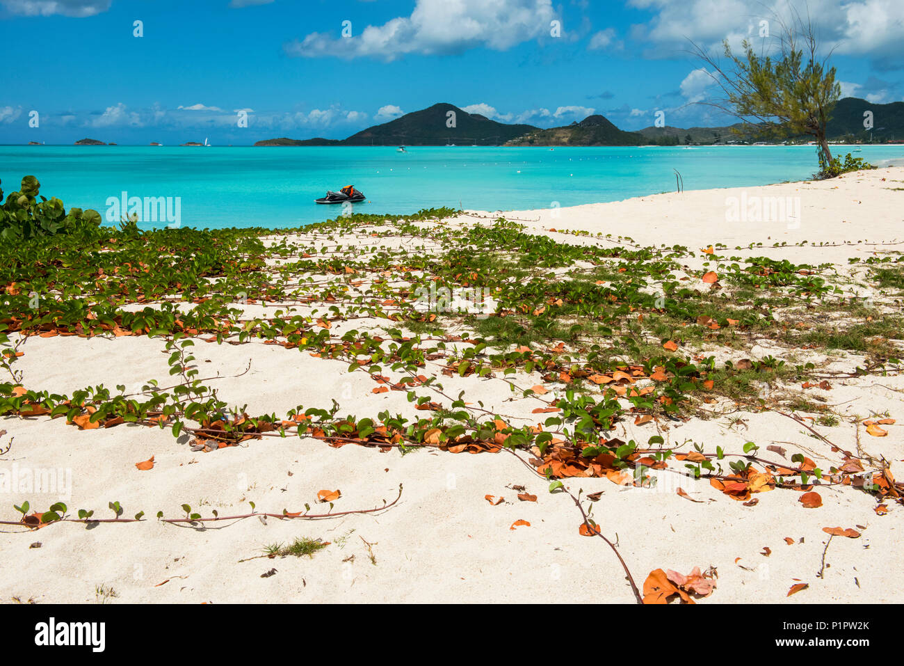 Wassermotorräder im Jolly Harbour Beach; Antigua und Barbuda Stockfoto