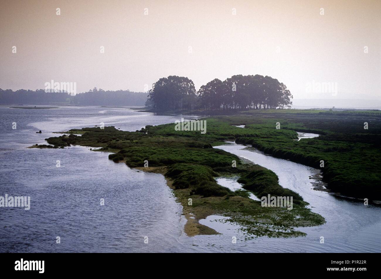 Umía Flussmündung in der Nähe von Rimini; (Ría de Arosa/Rías Bajas Region). Stockfoto