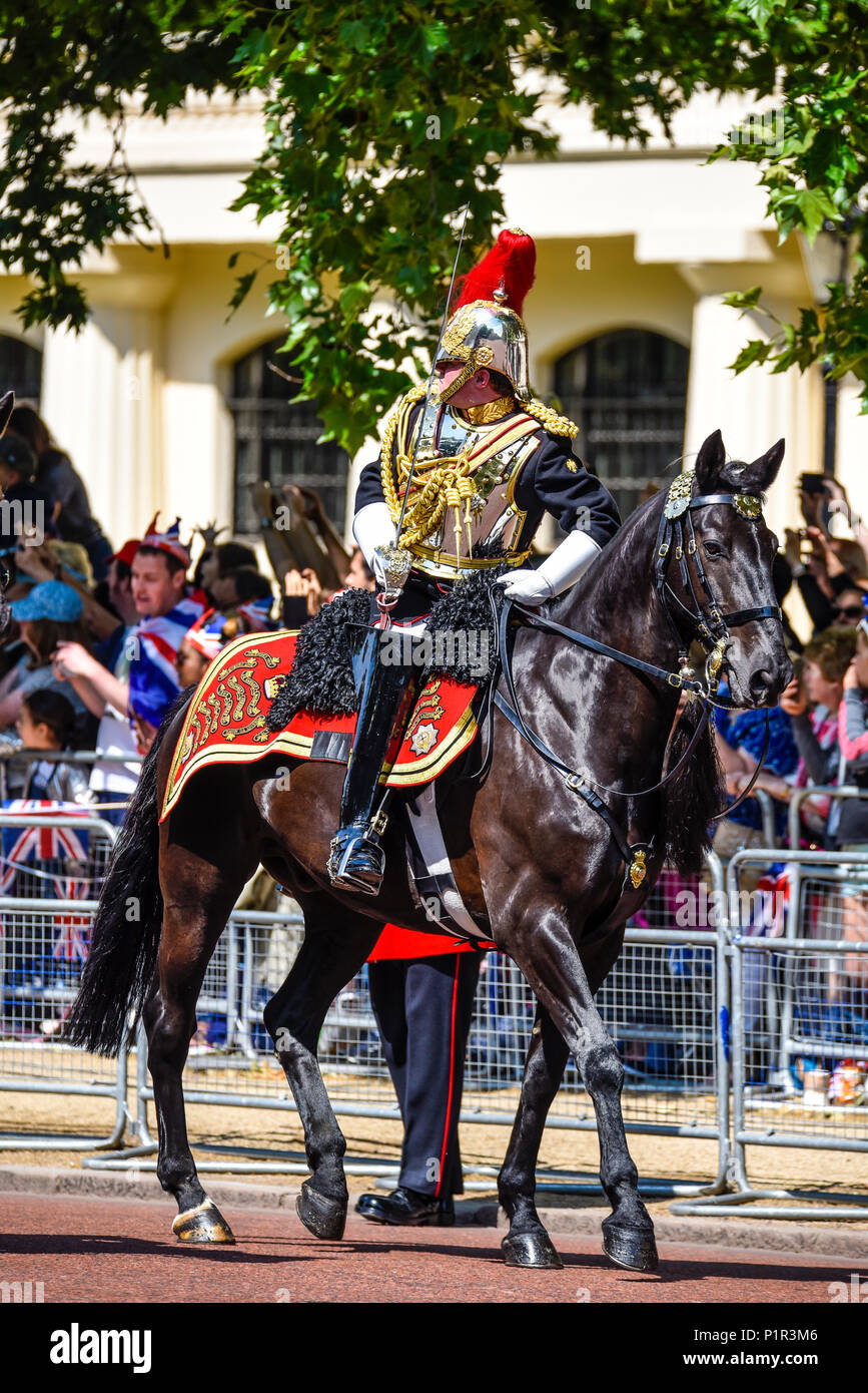 Die Farbe 2018. Offizier des Blues und Royals im Rückblick auf Truppen in der Mall, London, UK Stockfoto