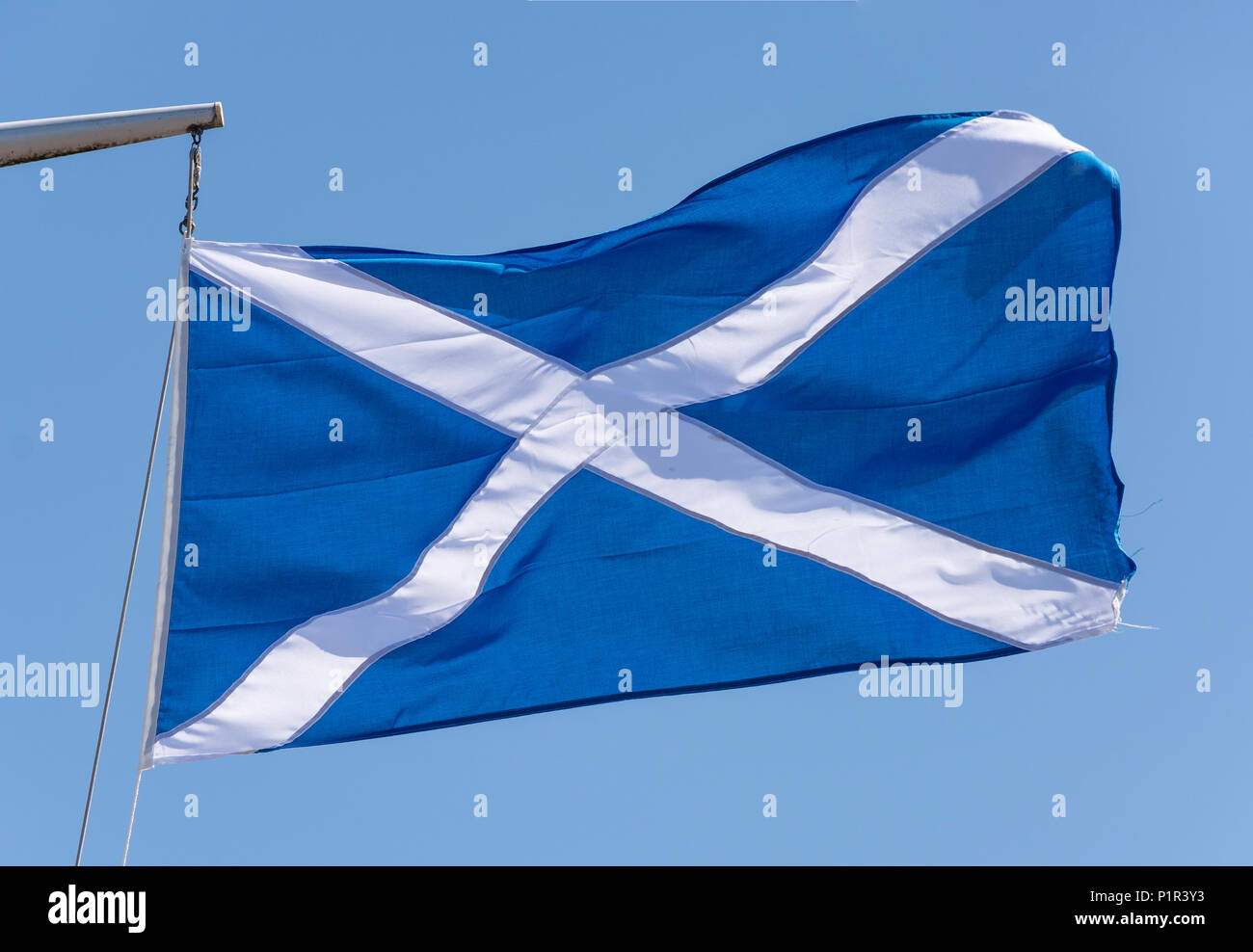 Flagge Schottland (Saltire) fliegen am Wasser, Invergordon, Highland, Schottland, Vereinigtes Königreich Stockfoto