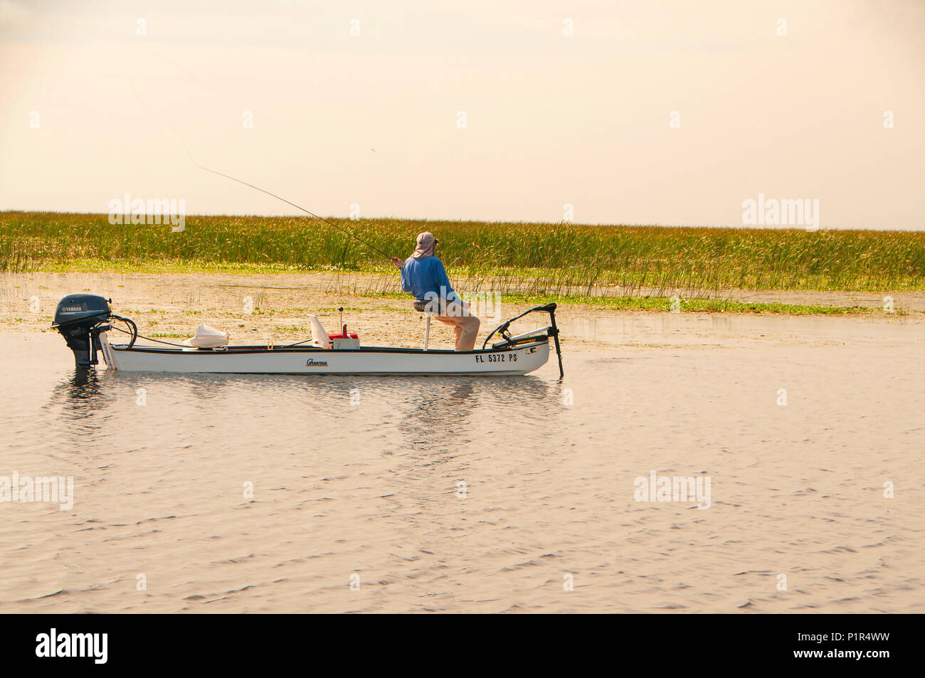See Okeechobee ist einer der oberen Largemouth bass Seen in den USA viel von der Fischerei ist in flachen Gewässern mit dichter Vegetation. Stockfoto