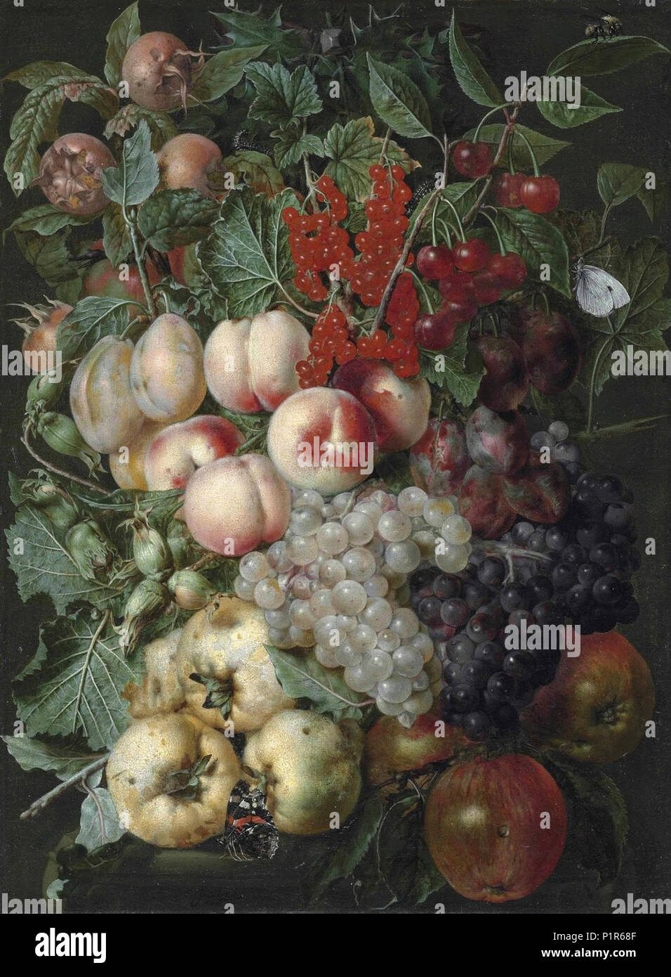 "die anderen" Jan van Kessel - Trauben, Pfirsiche, Haselnüsse, Quitten, Johannisbeeren und andere Früchte mit einem Brimstone Schmetterling, eine Hummel und andere Insekten auf einem Stein Kapital Stockfoto