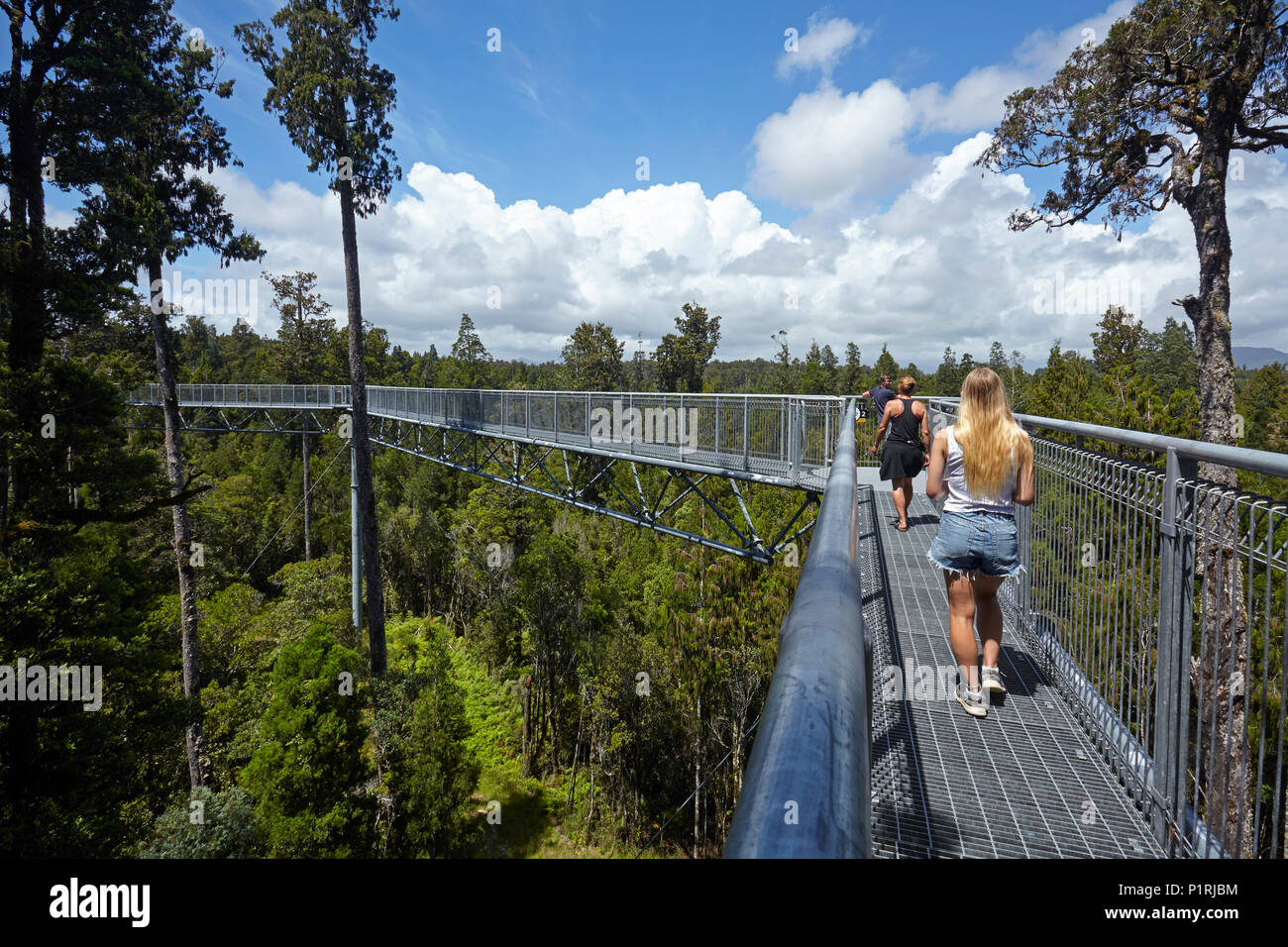 Touristen auf Treetop Walk, in der Nähe von Hokitika, West Coast, South Island, Neuseeland (Model Released) Stockfoto