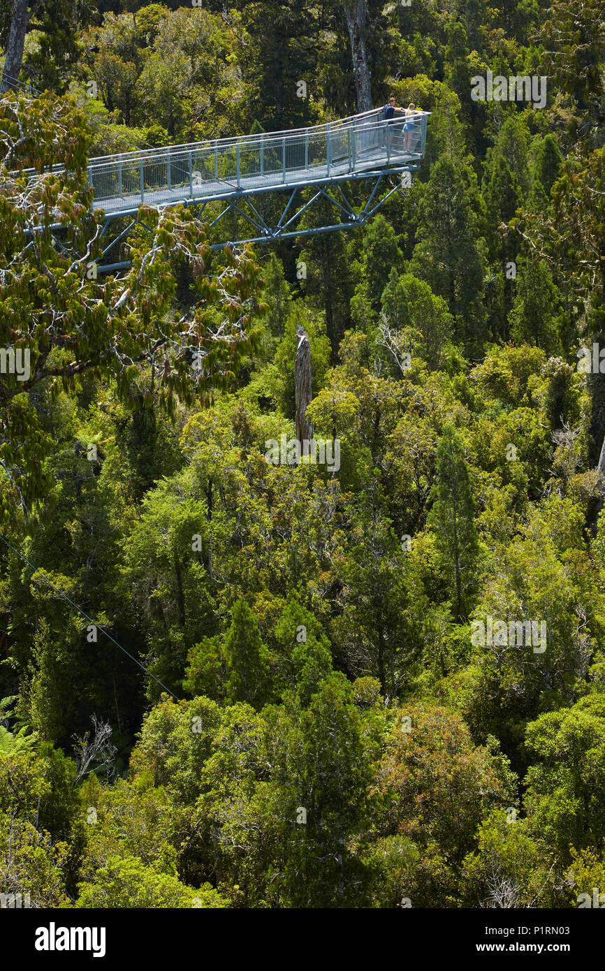Touristen am Ausleger auf Treetop Walk, in der Nähe von Hokitika, West Coast, South Island, Neuseeland (Model Released) Stockfoto
