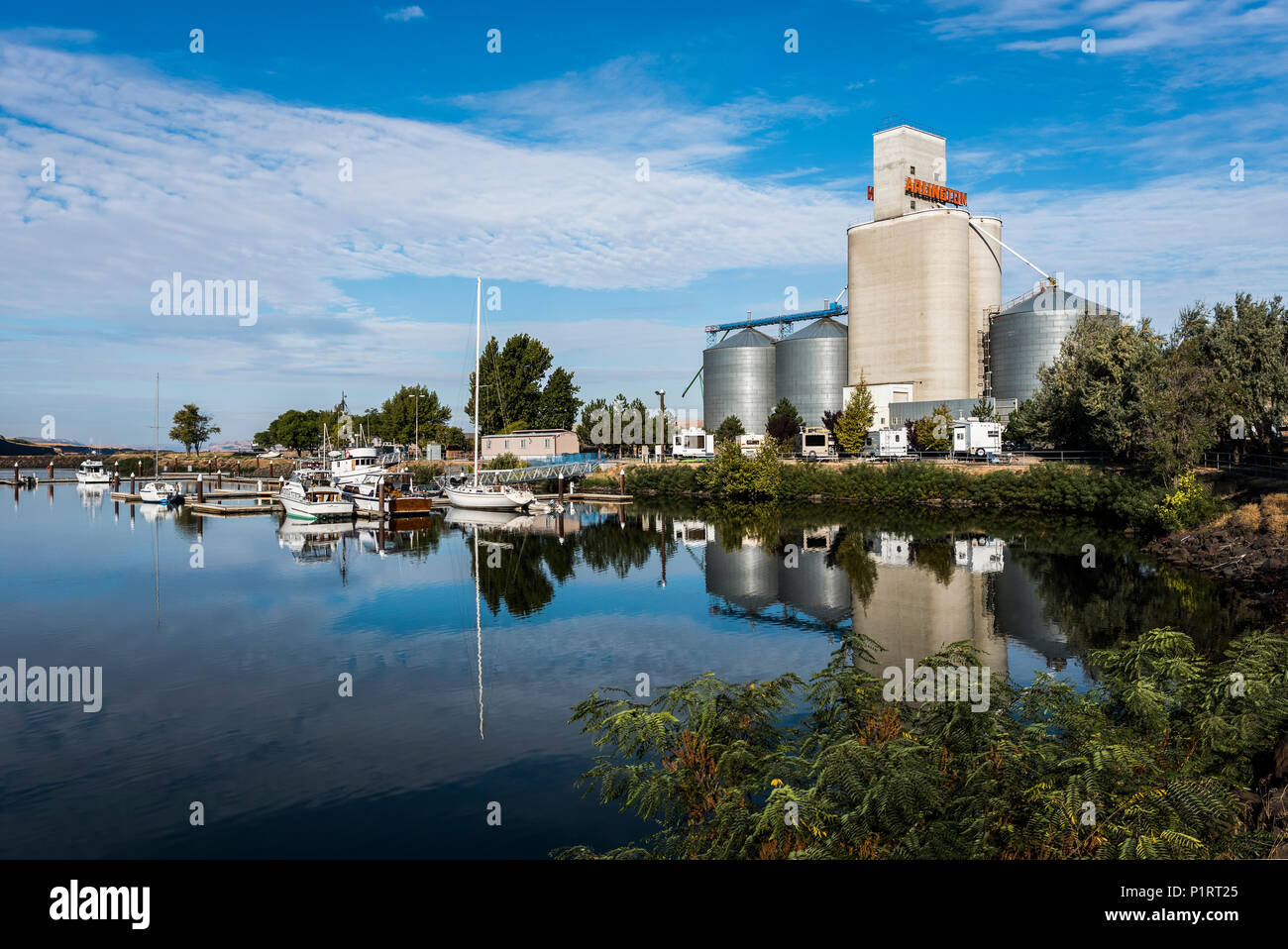 Boote Liegeplatz am Ufer der ruhigen See Umatilla mit Korn bins am Ufer, Arlington, Virginia, Vereinigte Staaten von Amerika Stockfoto