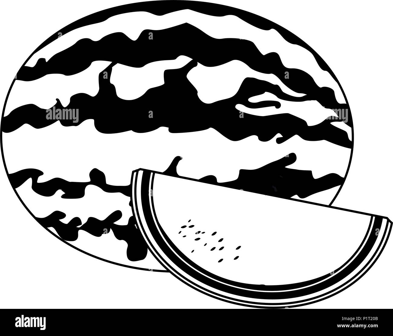 Wassermelone Obst In Schwarz Und Weiss Isoliert Stock Vektorgrafik Alamy