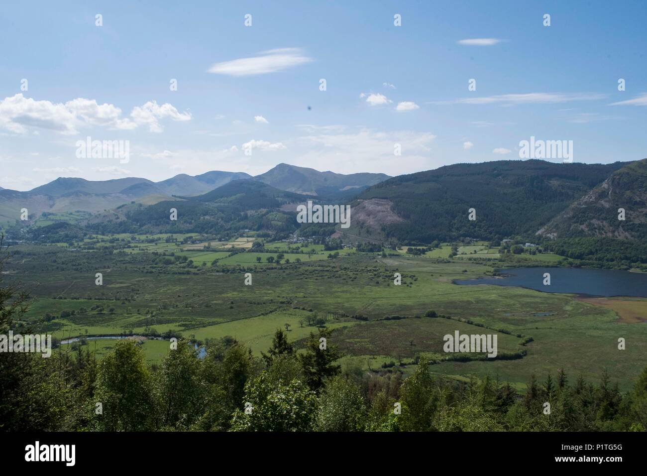 Osprey Blick Punkt, Cumbria Stockfoto