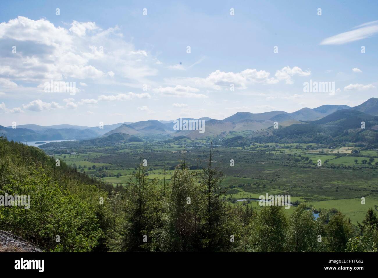 Osprey Blick Punkt, Cumbria Stockfoto