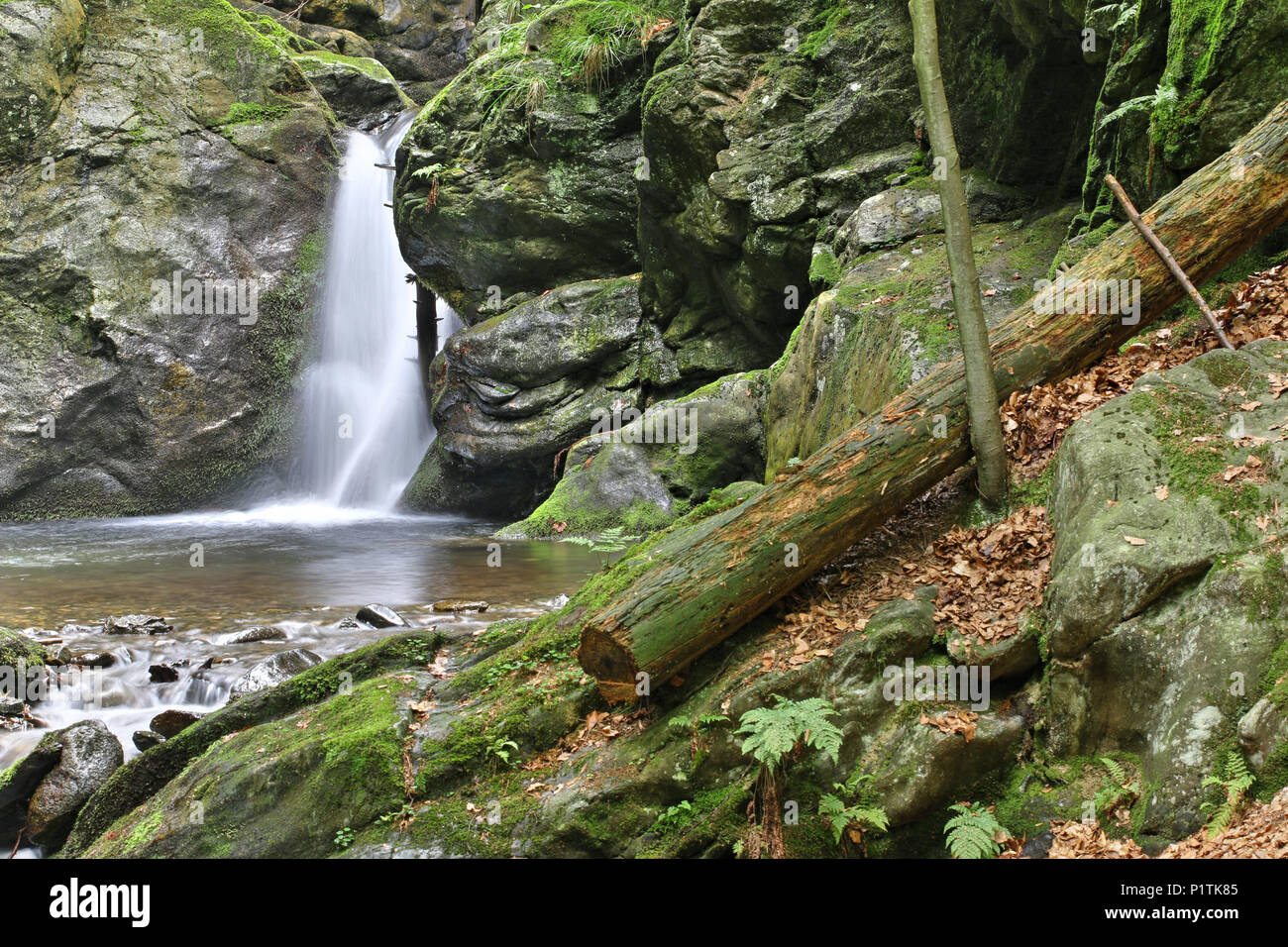 Nyznerov Wasserfälle auf der Siver Bach, Tschechische Republik. Silver Creek Falls, auch Nyznerov Wasserfälle liegt in der Ortschaft obere Skorosice zu 12 hect Stockfoto