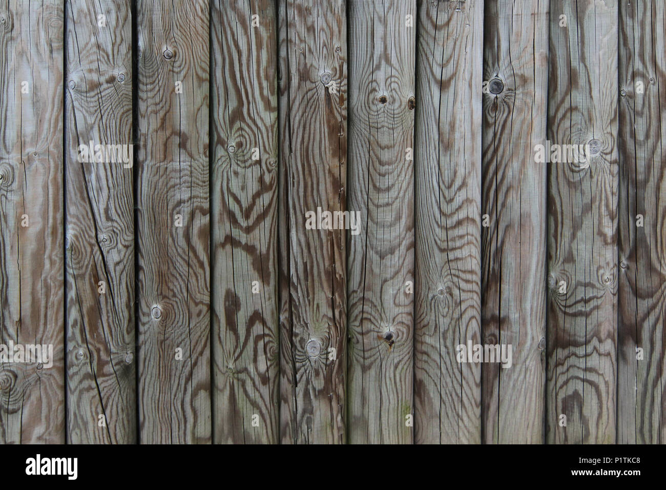 Palisade - Zaun aus Holzpfählen - Holz Textur Stockfoto
