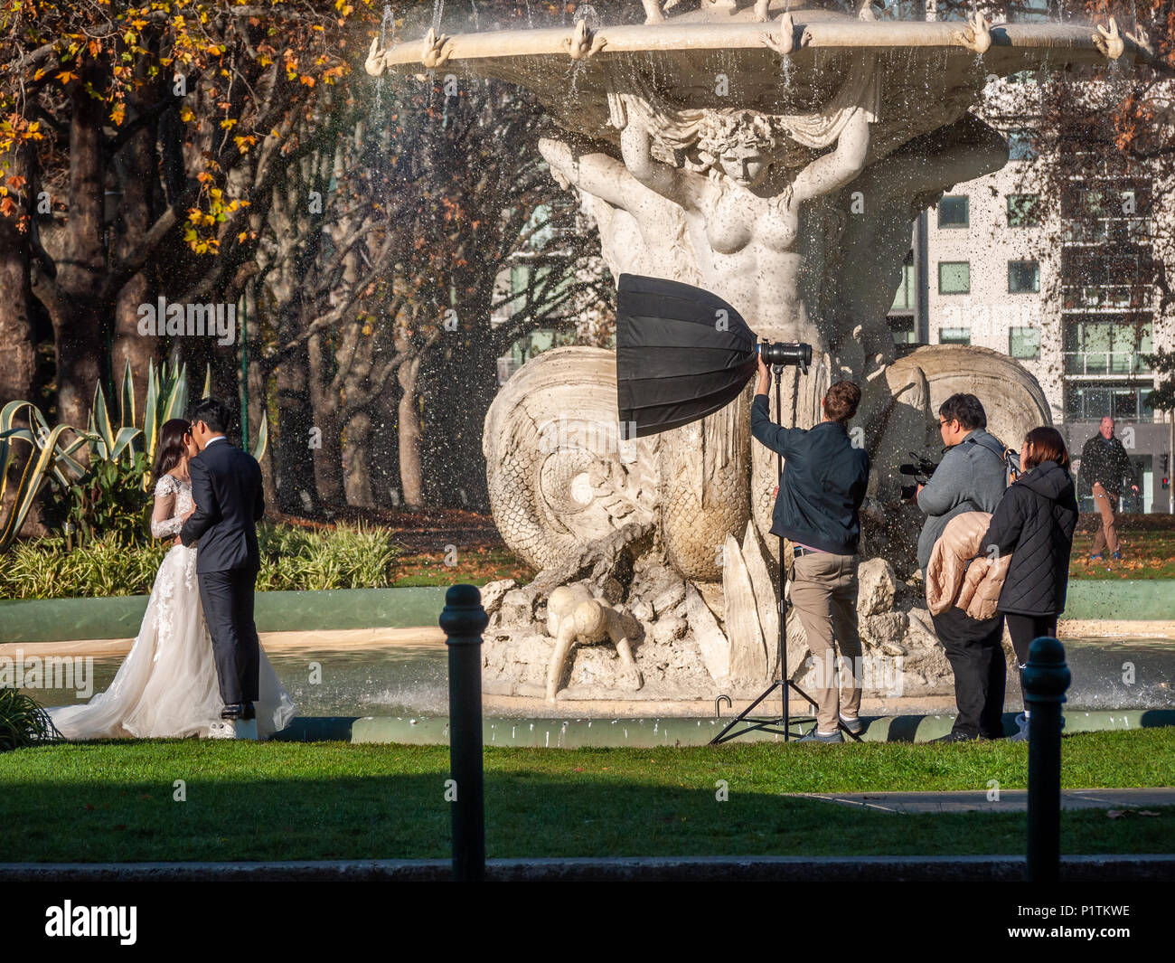 Fotografen schießen Hochzeit Bilder für asiatische Paar in Carlton Gardens. Melbourne, VIC, Australien. Stockfoto