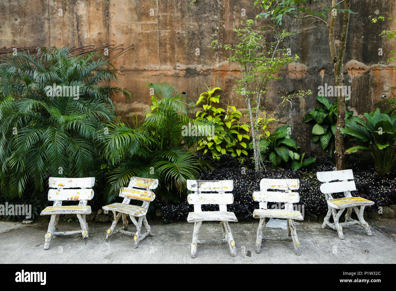 Leere Weisse Stuhle Aus Holz In Der Nahe Von Pflanzen Im Hinterhof Stockfotografie Alamy