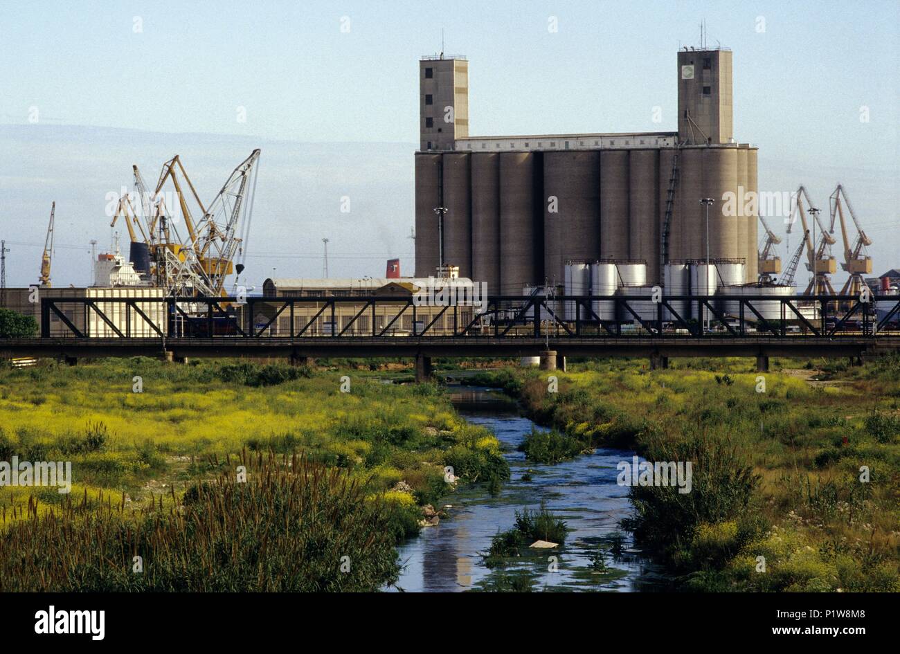 Tarragonès: Branchen am Fluss Francolí (Costa Dorada/Tarragonès). Stockfoto