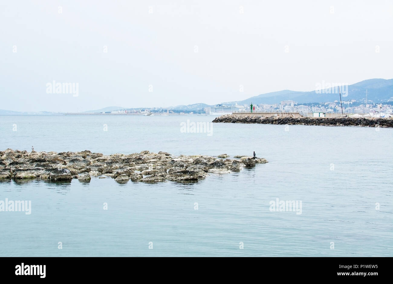 PALMA DE MALLORCA, SPANIEN - 25 April 2018: die Vögel auf den Felsen am Hafen mit festgebundenen Kreuzfahrtschiff von Portixol am 25. April 2018 in Palma de Mallorca, Stockfoto