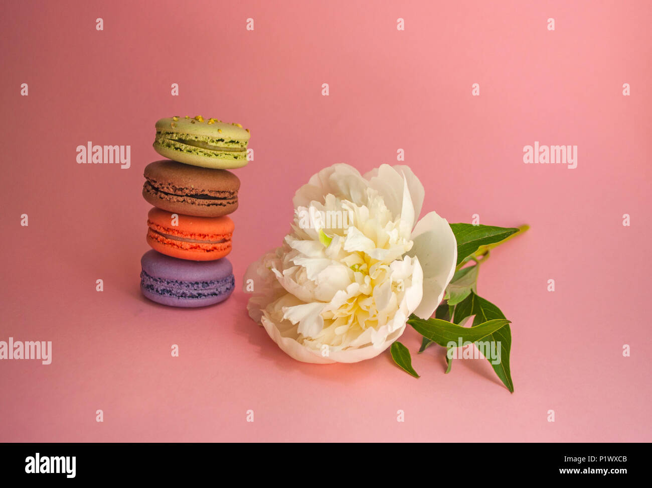 Bunte köstlichen französischen Dessert macarons und eine schöne weiße Pfingstrose auf rosa Hintergrund. Stockfoto