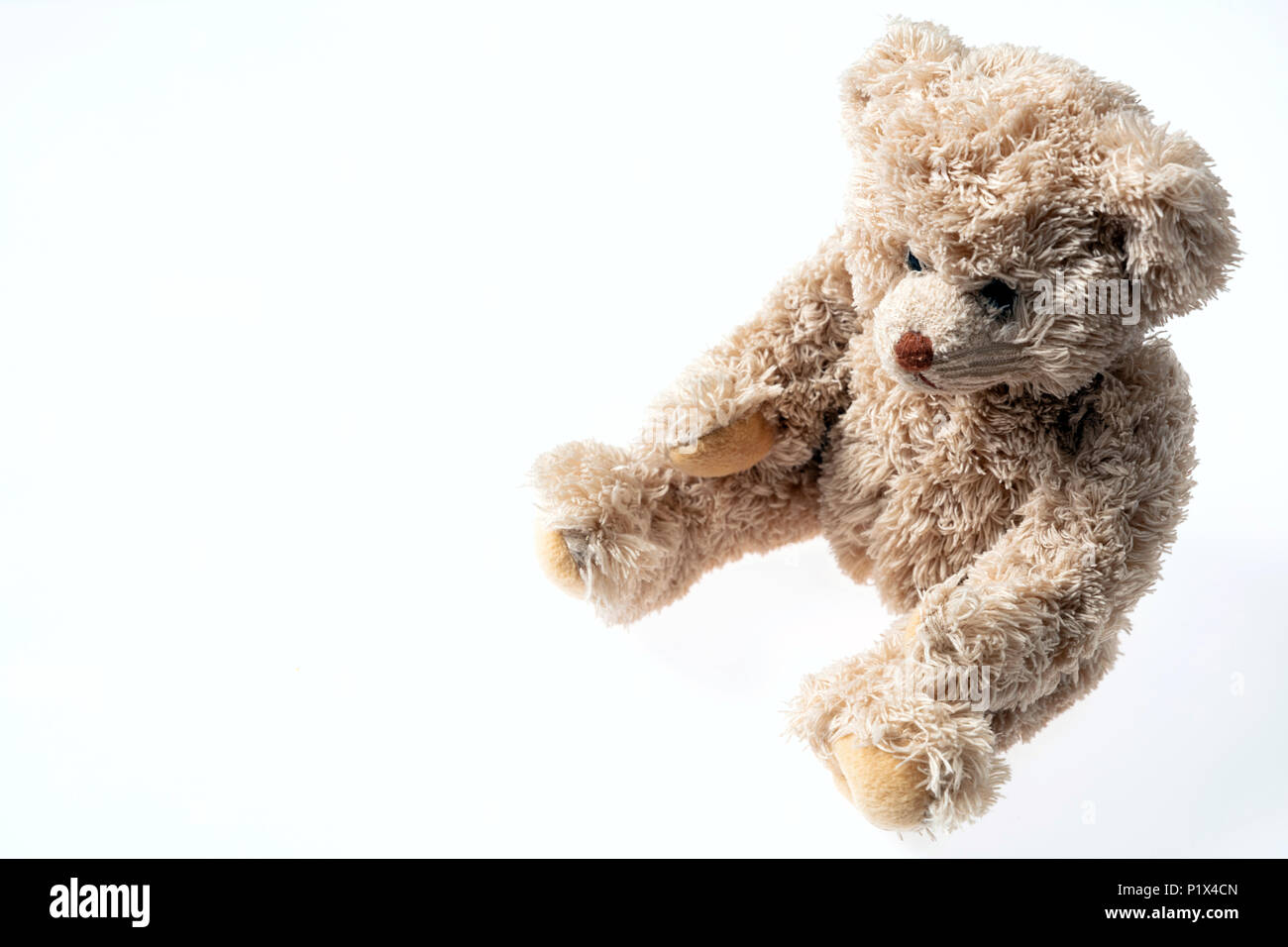 Spielzeug vorhanden. Teddybär mit Kopie Speicherplatz auf weißem Hintergrund Stockfoto