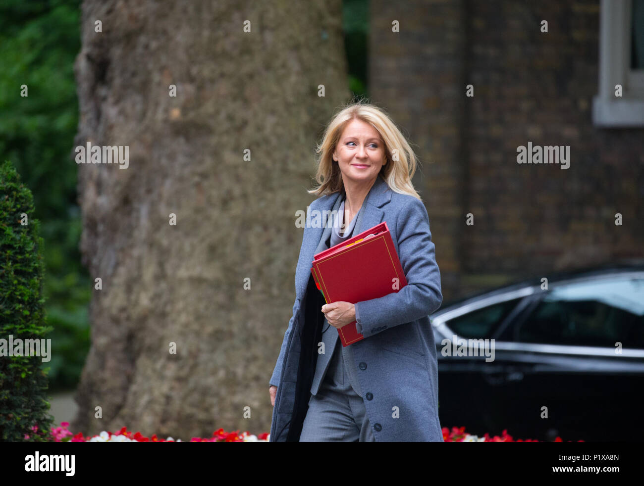 Esther McVey, Minister für Arbeit und Renten, in der Downing Street für eine Kabinettssitzung Stockfoto