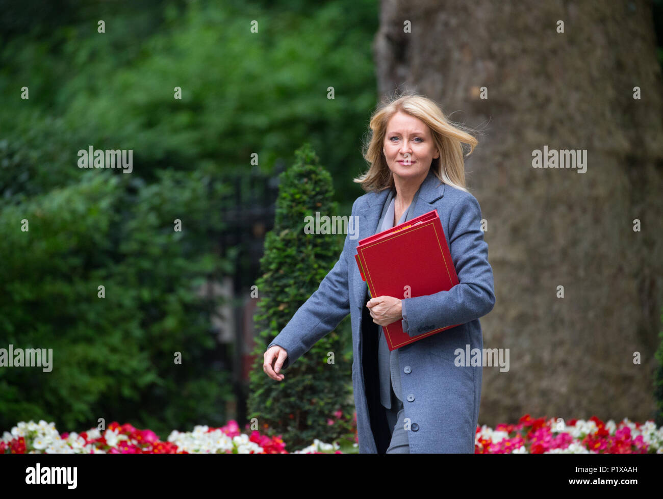 Esther McVey, Minister für Arbeit und Renten, in der Downing Street für eine Kabinettssitzung Stockfoto