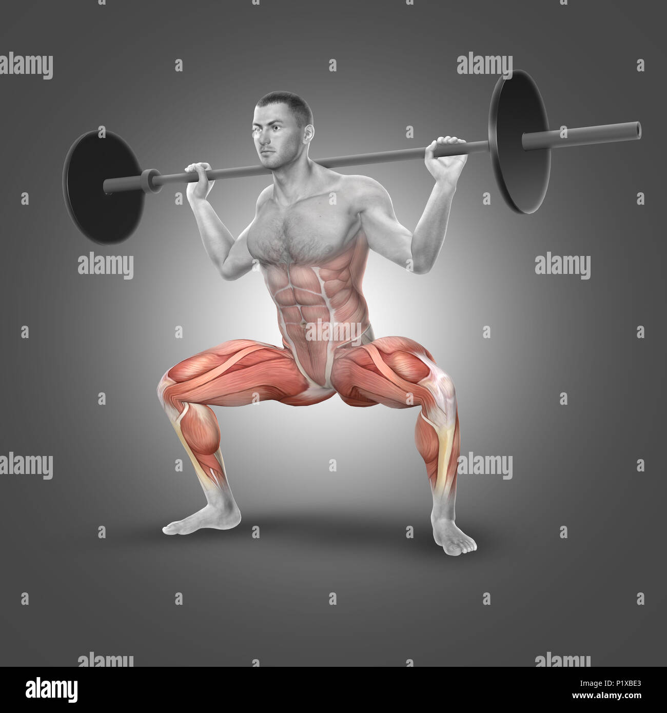 3D-Render eine männliche Figur in Barbell plie Hocke pose mit Muskeln markierten Stockfoto