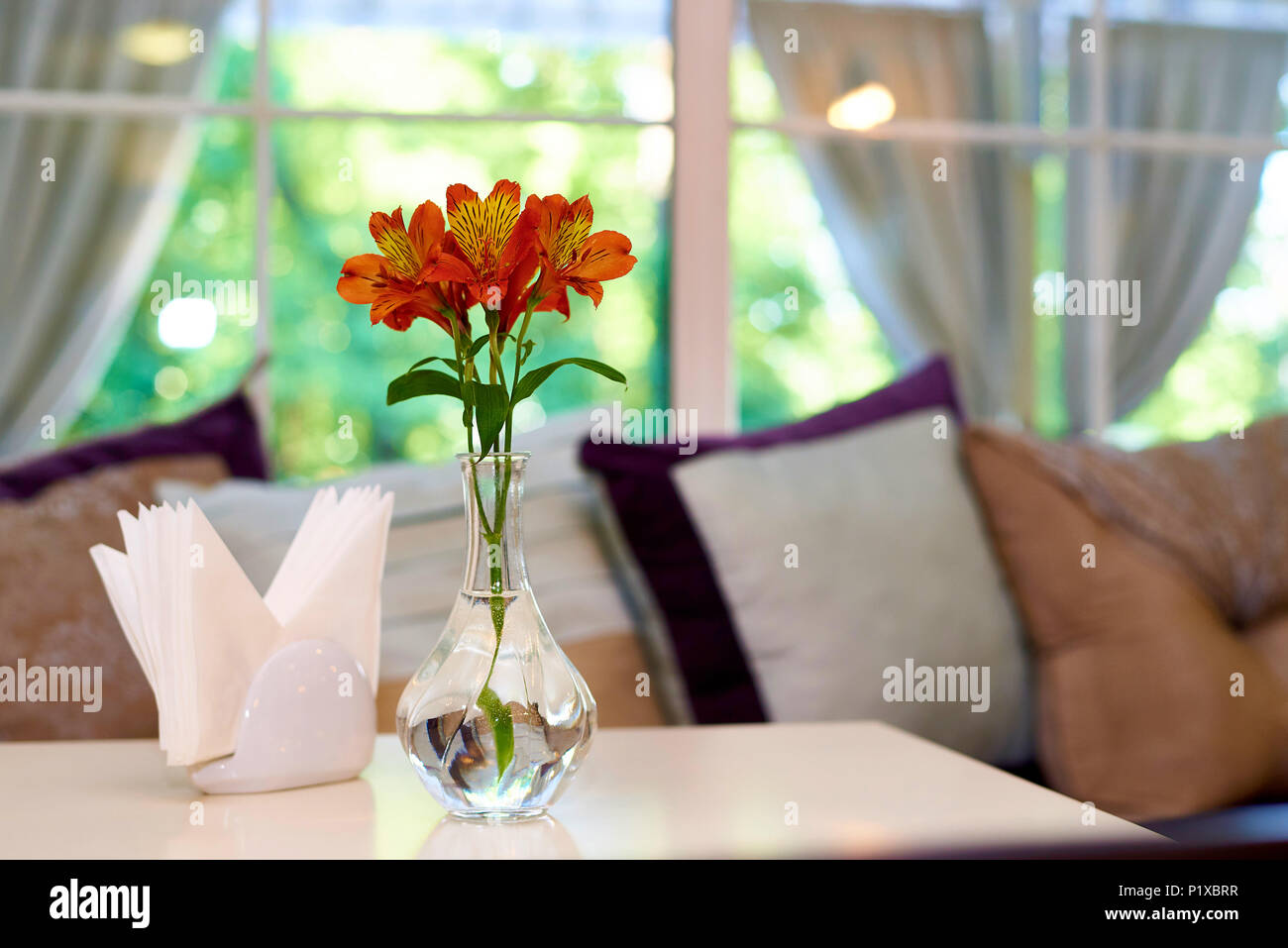 Frische Rosen in einer Glasvase mit Wasser auf einem Tisch vor dem Hintergrund der weichen Kissen durch die Fenster. Stockfoto
