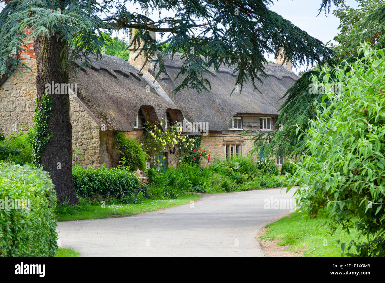 Rose, strohgedeckten Hütten in Cotswold Dorf Hidcote Bartrim, die Cotswolds, Gloucestershire, England, Vereinigtes Königreich, Europa Stockfoto