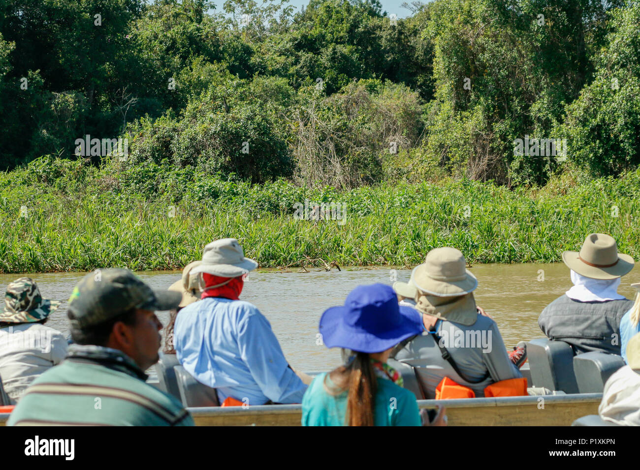 Pantanal, Mato Grosso, Brasilien, Südamerika. Touristen in kleine Boote Warten auf einen Jaguar eine Bewegung von ihren Punkt am Ufer zu machen. Stockfoto