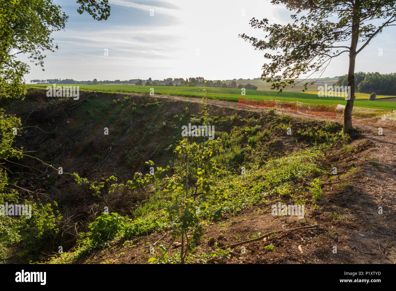 Hawthorn Ridge Krater aus der ersten Mine detonieren am ersten Tag der Schlacht an der Somme, Beaumont-Hamel, Frankreich Stockfoto