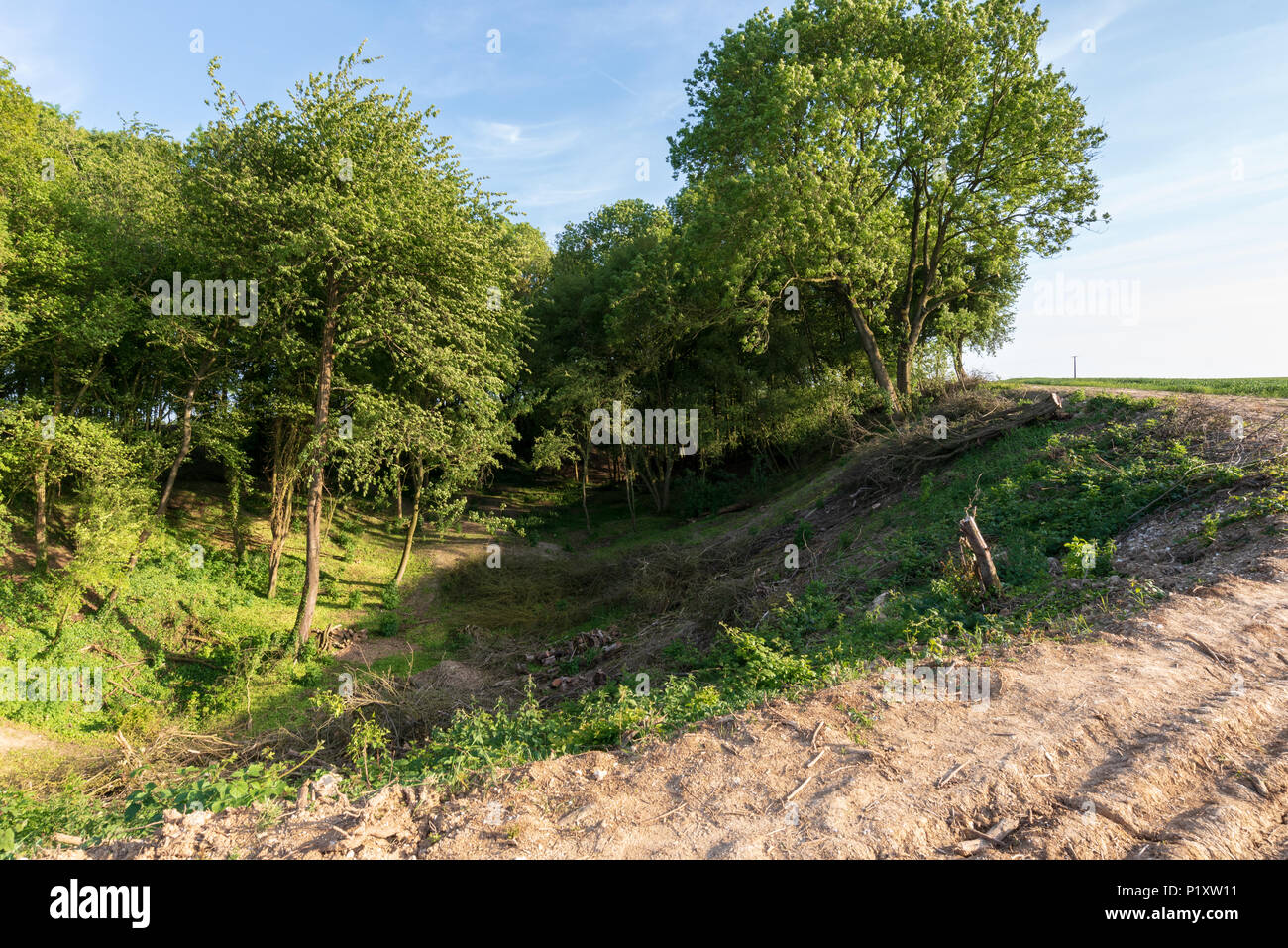 Hawthorn Ridge Krater aus der ersten Mine detonieren am ersten Tag der Schlacht an der Somme, Beaumont-Hamel, Frankreich Stockfoto