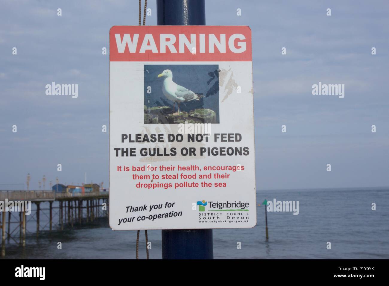 Warnung- Versuchen Sie nicht, den Möwen oder Tauben in Teignmouth Beach, South Devon Stockfoto