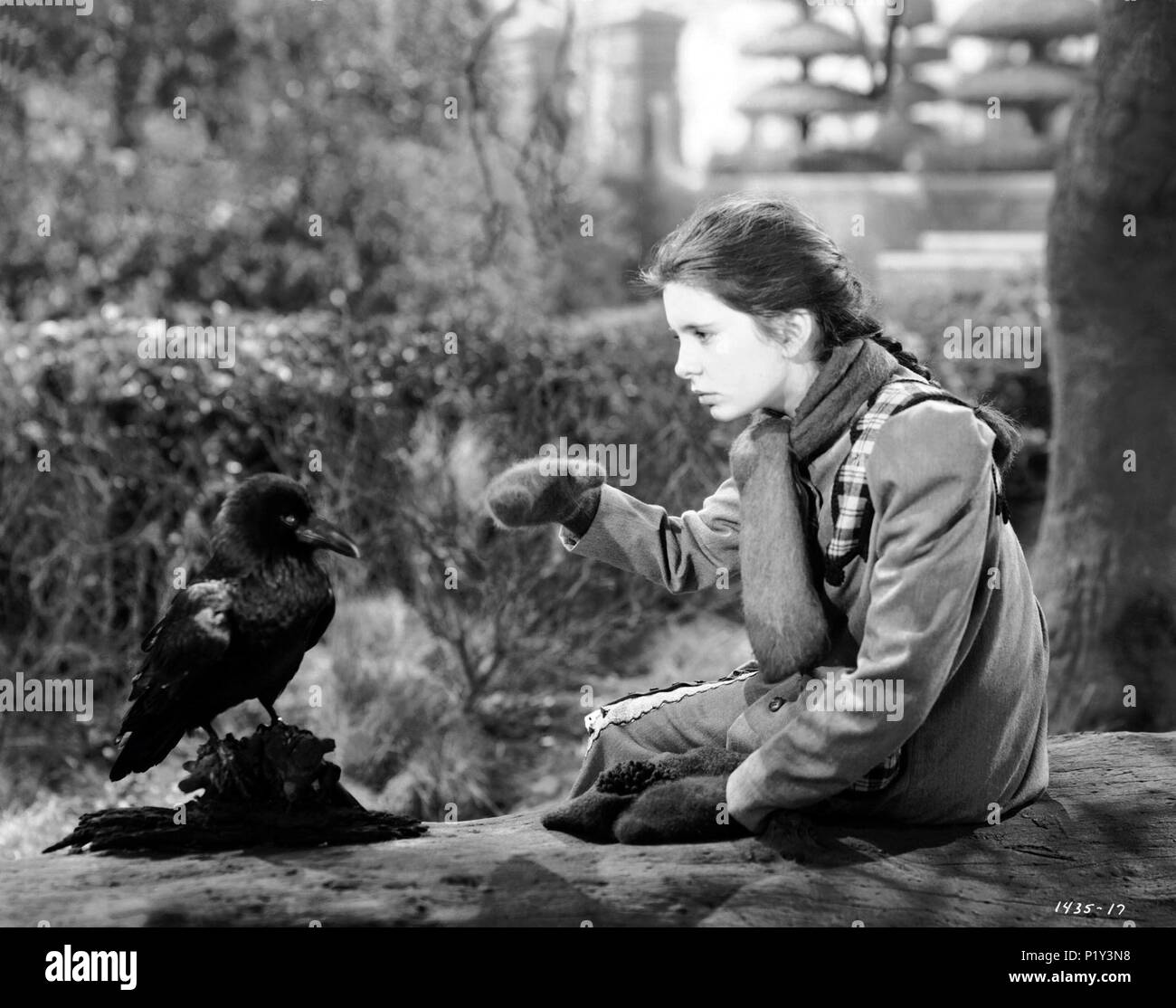 Original Film Titel DER GEHEIME GARTEN. Englischer Titel The Secret