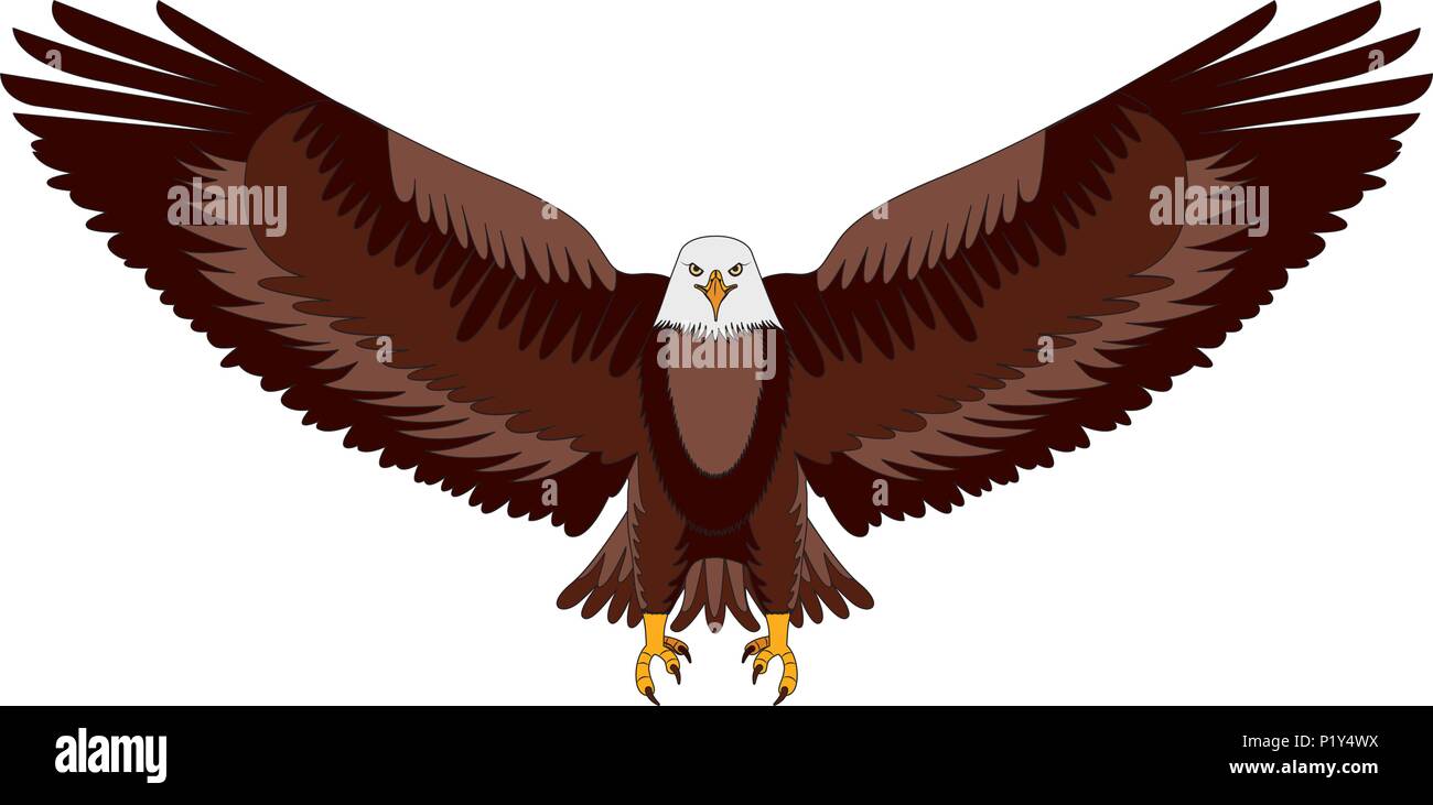 Weißkopfseeadler emblem Vector Illustration Design Stock Vektor