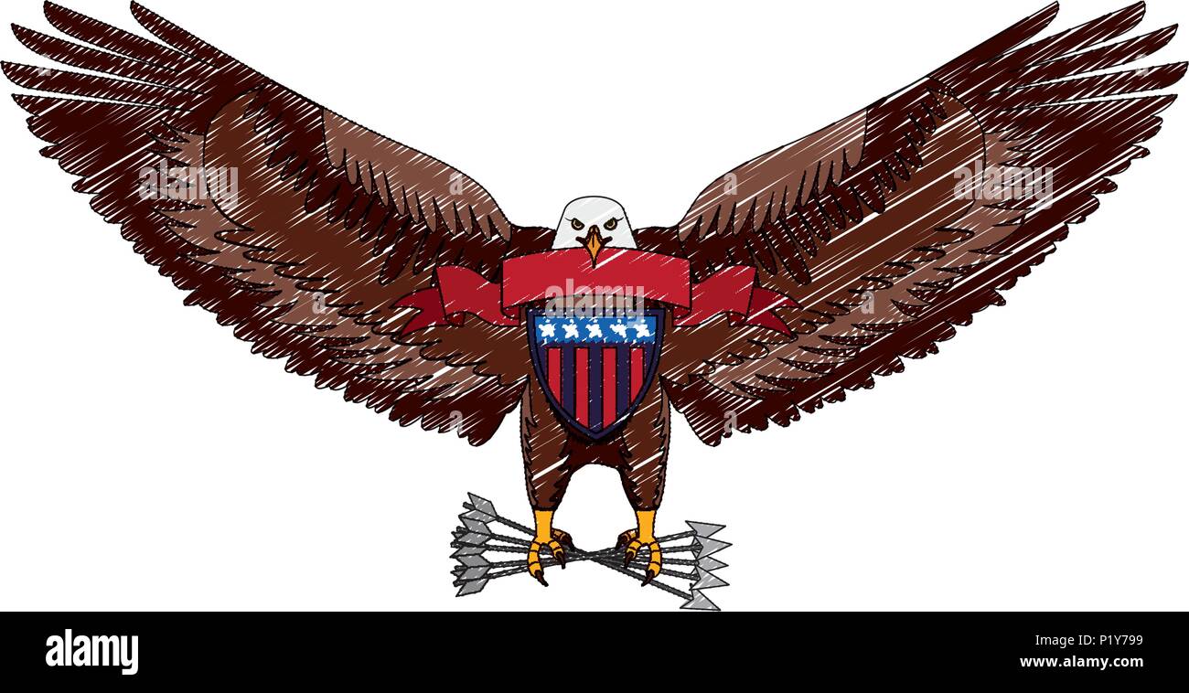 American Eagle mit Band shield Zweig und Pfeile Vector Illustration Zeichnung Stock Vektor