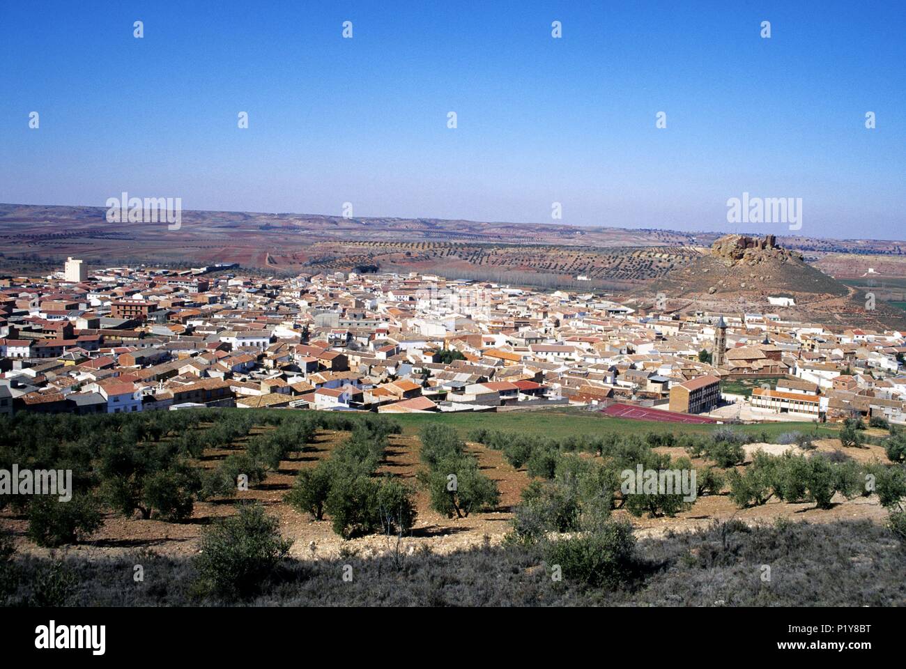 Montiel, Blick auf die Stadt und Olivenbäumen Landschaft. Stockfoto