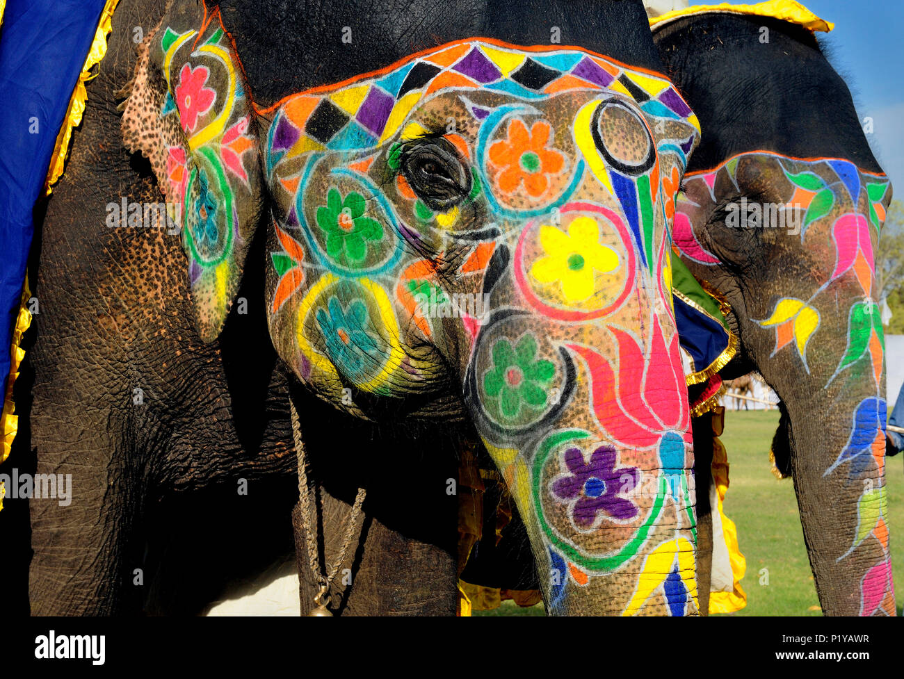 Indien, Rajasthan, Jaipur, Elephant Head im Elephant Festival eingerichtet Stockfoto