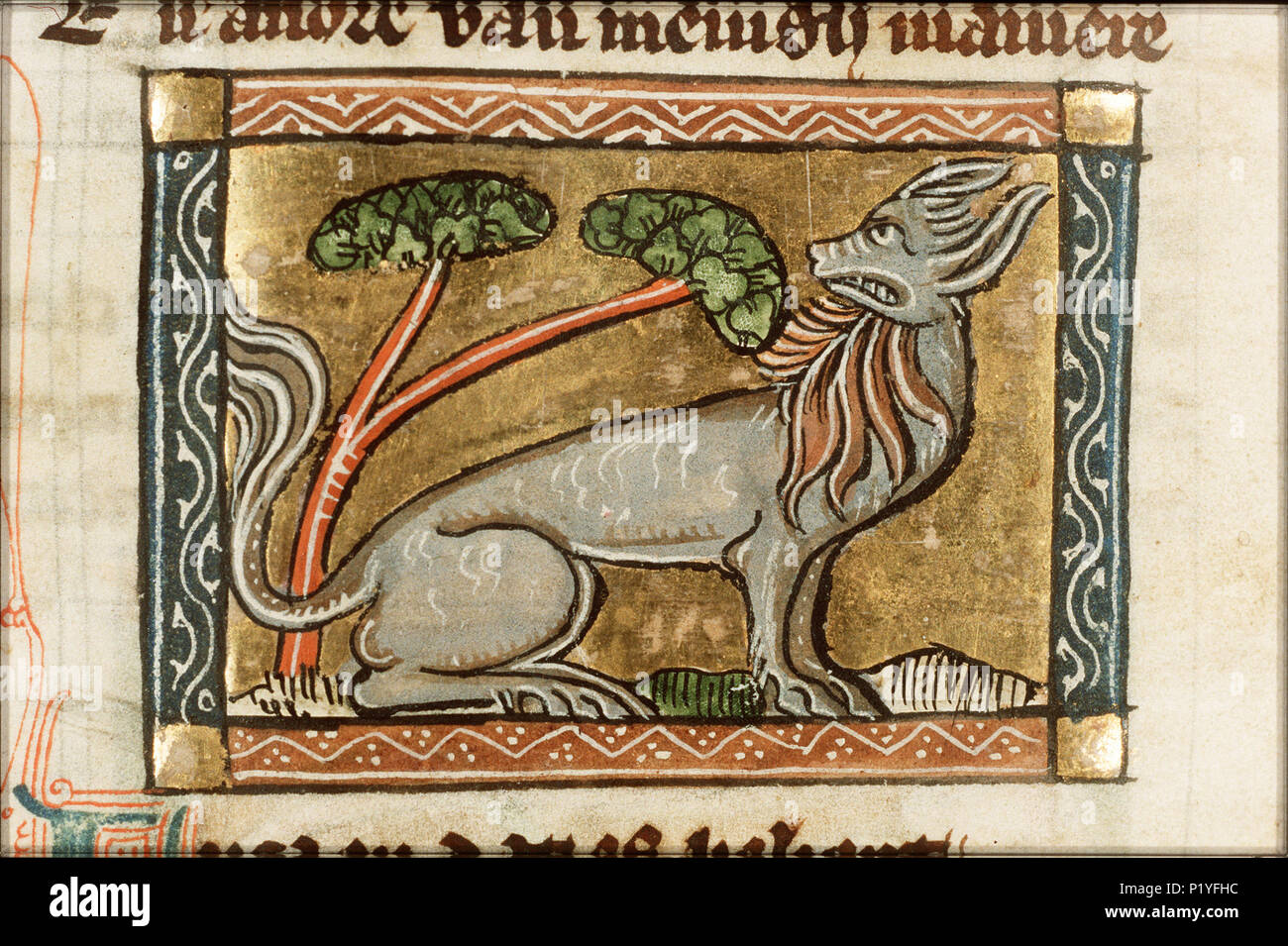 . Lichaon (Wolf) - Miniatur aus Folio 061v von "Der Naturen bloeme (KB KA16) von Jacob van Maerlant. Lichaon (Wolf) - Miniatur aus Folio 061v von "Der Naturen bloeme (KB KA16) von Jacob van Maerlant Themen in dieser Miniatur raubtiere dargestellt, räuberische Tiere: Wolf (25 F23 (Wolf)) Diese Miniatur ist Teil der linken Seite Folio 061v. zwischen ca. 1340 und ca. 1350. Thomas von Cantimpré (1201 - 1270) Alternative Namen Thomas von Cantimpre Beschreibung hagiographer, Schriftsteller und Priester Datum der Geburt / Tod 1201 1270 Ort der Geburt Sint-Pieters-Leeuw Authority Control: Stockfoto