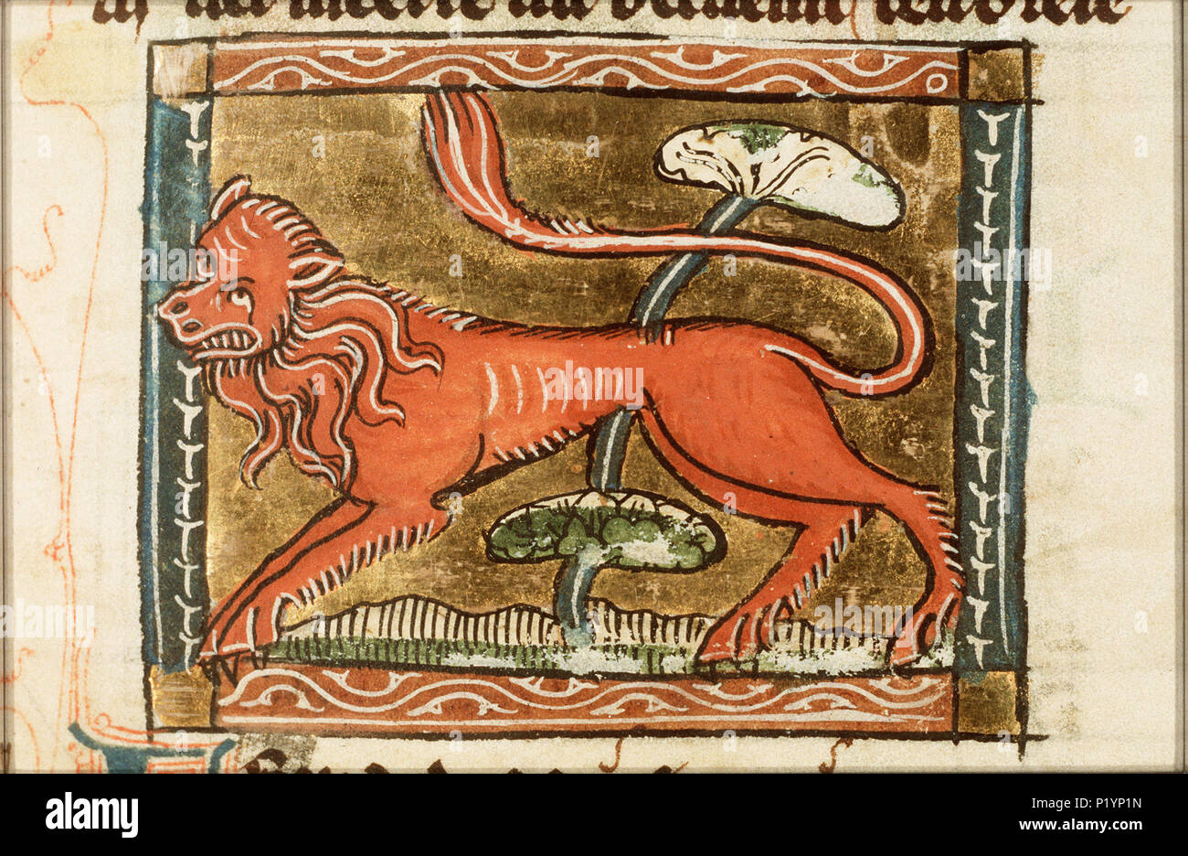 . Leopardus (Leopard) - Miniatur aus Folio 061 r von "Der Naturen bloeme (KB KA16) von Jacob van Maerlant. Leopardus (Leopard) - Miniatur aus Folio 061 r von "Der Naturen bloeme (KB KA16) von Jacob van Maerlant Themen in dieser Miniatur raubtiere dargestellt, räuberische Tiere: Leopard (25 F23 (Leopard)) Diese Miniatur ist Teil der rechten Seite Folio 061 r. zwischen ca. 1340 und ca. 1350. Thomas von Cantimpré (1201 - 1270) Alternative Namen Thomas von Cantimpre Beschreibung hagiographer, Schriftsteller und Priester Datum der Geburt / Tod 1201 1270 Ort der Geburt Sint-Pieters-Leeuw Aut Stockfoto