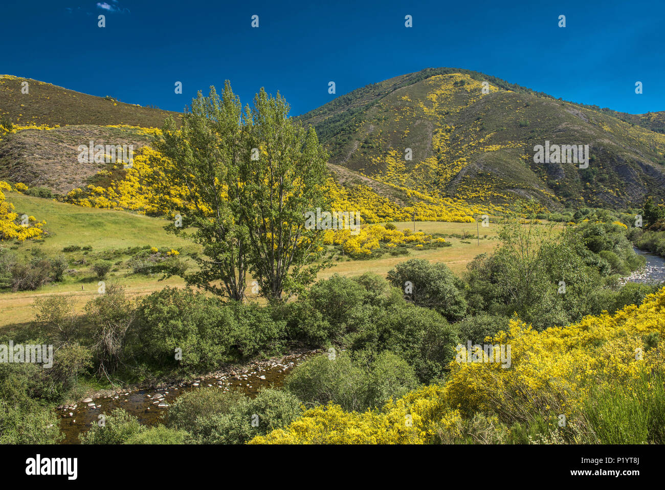 Spanien, Provinz León, niedrige Berge Landschaft in Boca-de-Huergano, St James Stockfoto