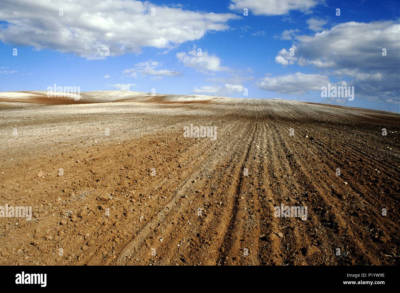 Huete, ländliche Landschaft/Felder (La Alcarria Region). Stockfoto